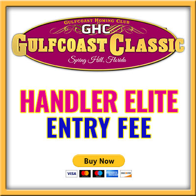 Handler Elite Entry B